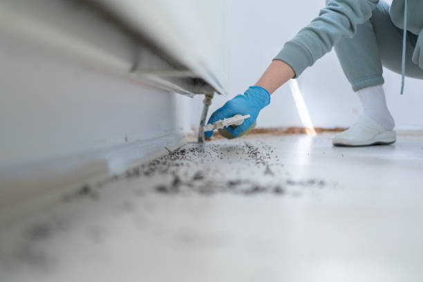 Best Pest Inspection Near Me  in Hallam, PA